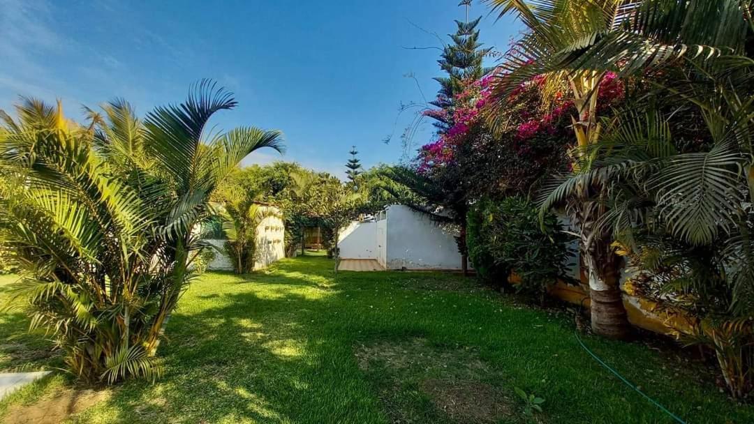 Villa Hospedaje Chanchan Cultural Lodge تروخيو المظهر الخارجي الصورة