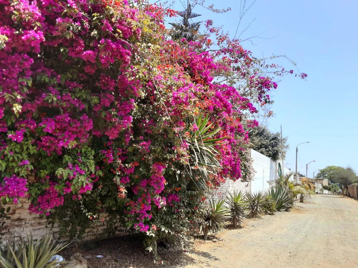 Villa Hospedaje Chanchan Cultural Lodge تروخيو المظهر الخارجي الصورة