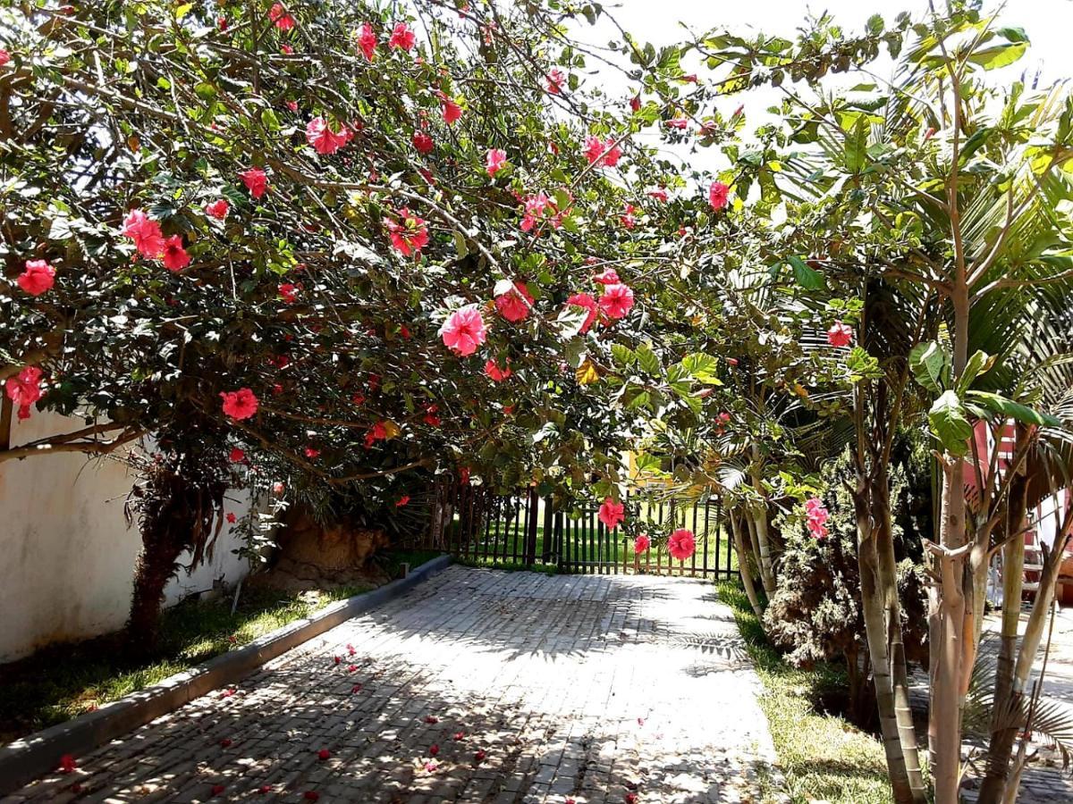 Villa Hospedaje Chanchan Cultural Lodge تروخيو المظهر الخارجي الصورة